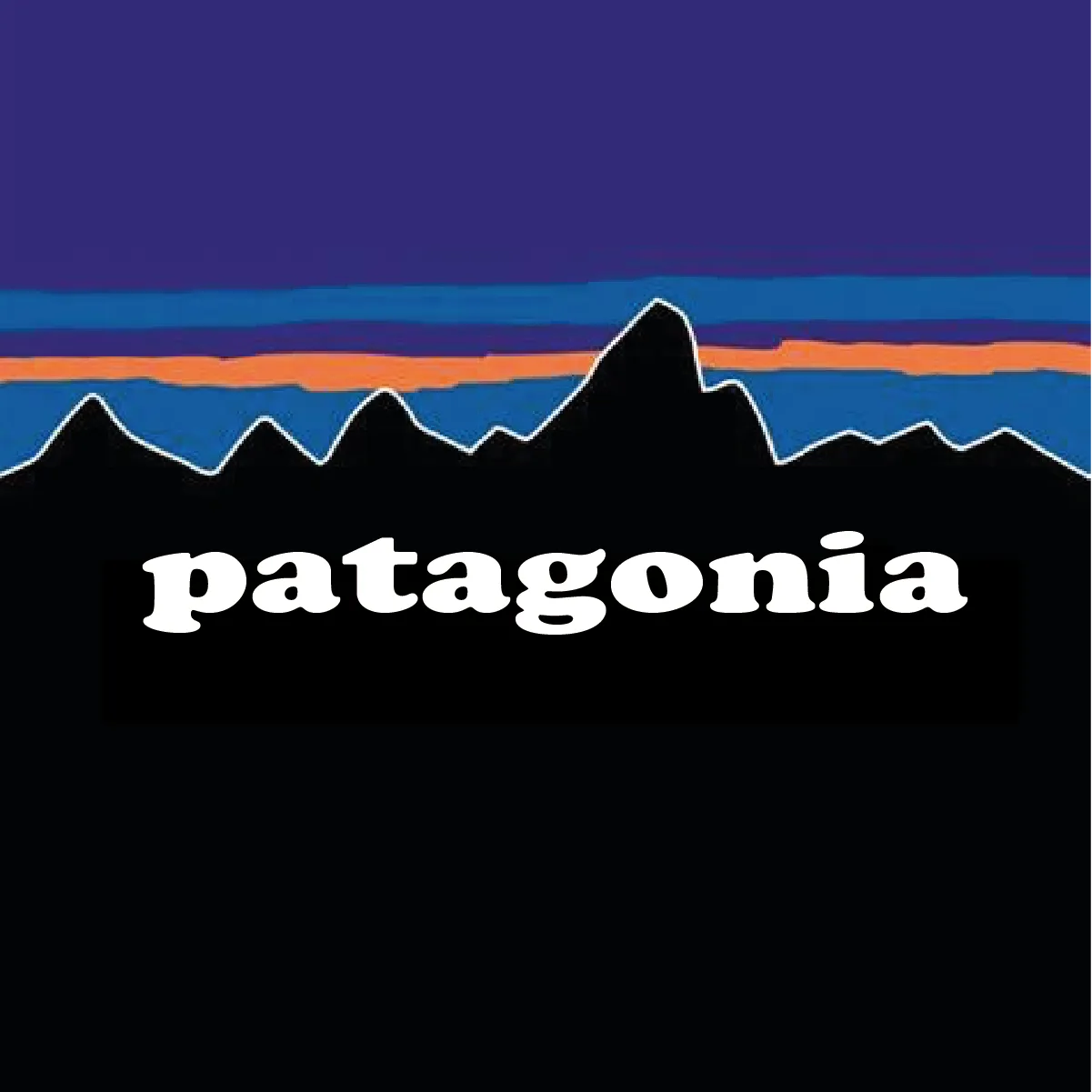 The Patagonia logo, the wordmark in white Cooper Black beneath a mountain skyline at dusk.
